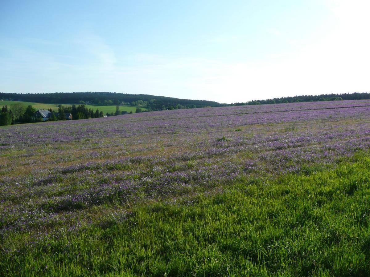 Gasthaus Ruebenau Rubenau Екстер'єр фото